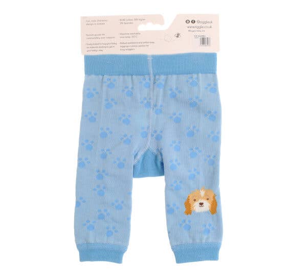 Ziggle Baby Blue Cockapoo Leggings and Socks Set