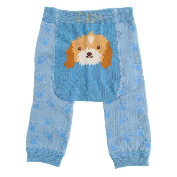 Ziggle Baby Blue Cockapoo Leggings and Socks Set