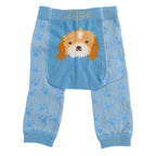 Ziggle Baby Blue Cockapoo Leggings and Socks Set
