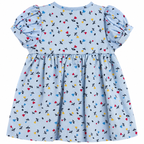 A light blue baby girl's dress with a small multicolor floral print, featuring puffed short sleeves and a gathered waist, shown against a plain white background.