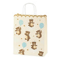 Teddy Bear Gift Bag